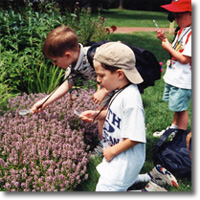 free discovery days at mass audubon properties photo