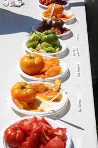 tomato festival wilson farm photo