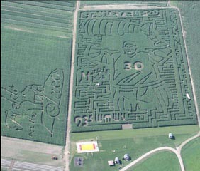 corn maize at sherman farm photo