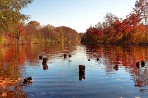 fall foliage afternoon canoe on the charles photo