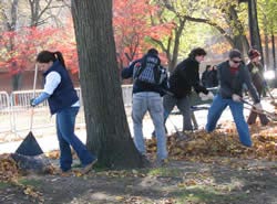 esplanade annual fall clean-up photo