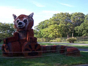 red-panda hay sculpture at franklin park zoo photo