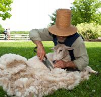 wool days at old sturbridge village photo