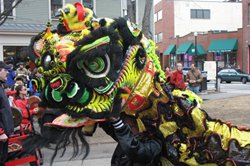 celebrate chinese new year in harvard square photo