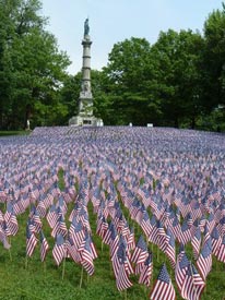 2024 memorial day flag garden photo