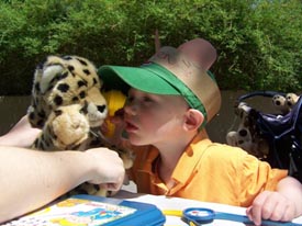 teddy bear check-up day at stone zoo photo