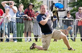 somerville dog festival photo