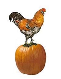 poultry n' pumpkin day photo