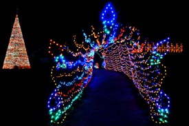 holiday festival of lights photo