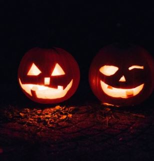 pumpkins in the park at bird park photo