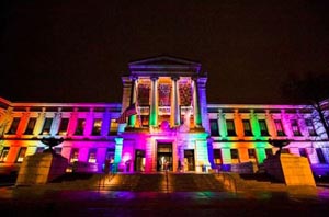 spring into color at the mfa photo