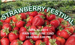 marini farm's strawberry festival photo