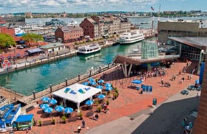 wharf festival presented by new england aquarium photo