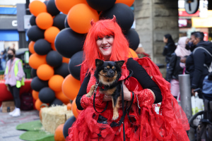 doggone halloween pet parade at downtown crossing photo