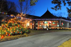 gardens aglow - a celebration of holiday lights photo