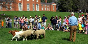 gore place sheepshearing festival photo