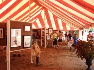 pembroke arts festival online photo