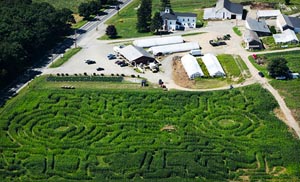 marini farm pirate corn maze 'kernels of gold' photo