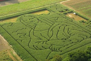 corn mazes in massachusetts photo