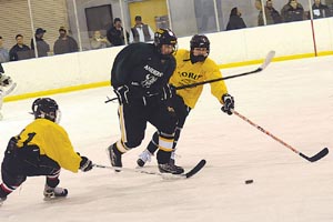 2015 mayor's cup youth hockey tournament photo