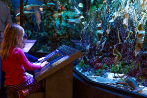 i heart science at harvard museum of natural history photo