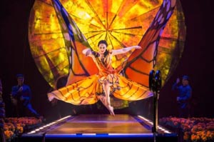 cirque du soleil luzia photo