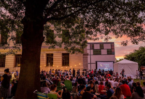 mfa sunset cinema series summer movies photo