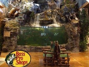 bass pro shops - aquarium and fish feeding photo