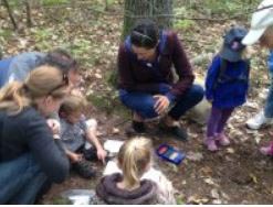 forest fridays at discovery woods photo