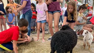 baby animal farm at patriot place photo