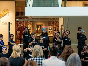 asl night at the mfa photo