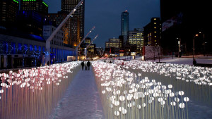 'entre les rangs' light exhibit at boston seaport photo