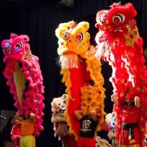 celebrate with wah lum kung fu  tai chi academy  lion dance photo