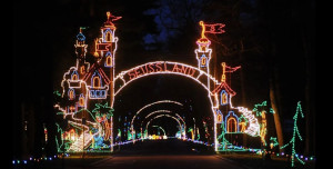 bright nights at forest park holiday lights photo