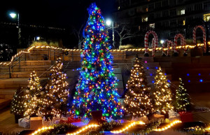 the anchor annual holiday tree lighting photo