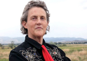 dr temple grandin helping different kinds of minds solve problems photo