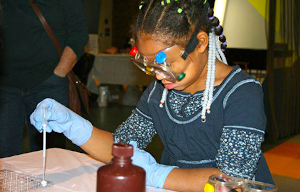 boston children's museum steam sprouts photo