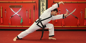 martial arts 101 photo