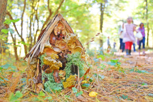 myths magic and monsters at new england botanic garden photo