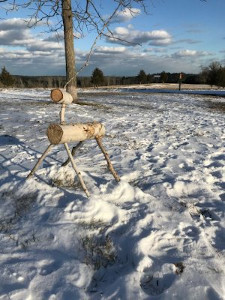 reindeer quest at powisset farm photo