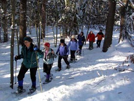 weston ski track cross country skiing  snow shoeing photo