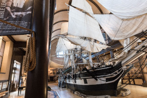 new bedford whaling museum winter break activities photo