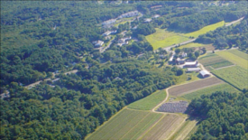 flint farm stand photo